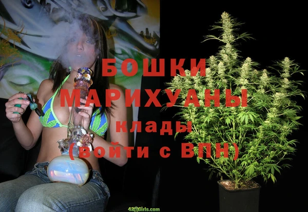 Альфа ПВП Белокуриха