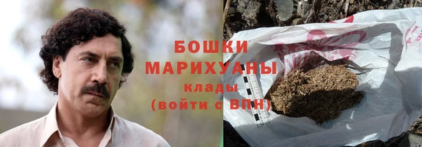 Альфа ПВП Белокуриха