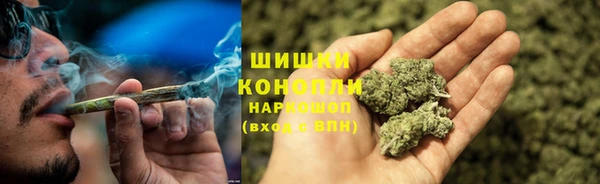 Альфа ПВП Белокуриха