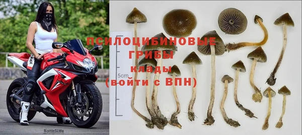 ГАЛЛЮЦИНОГЕННЫЕ ГРИБЫ Волоколамск